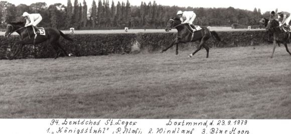 1979 Königsstuhl beim Sieg im 94. St. Leger (Foto Menzeldorf)